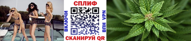 Конопля VHQ  Купить где  Лодейное Поле 